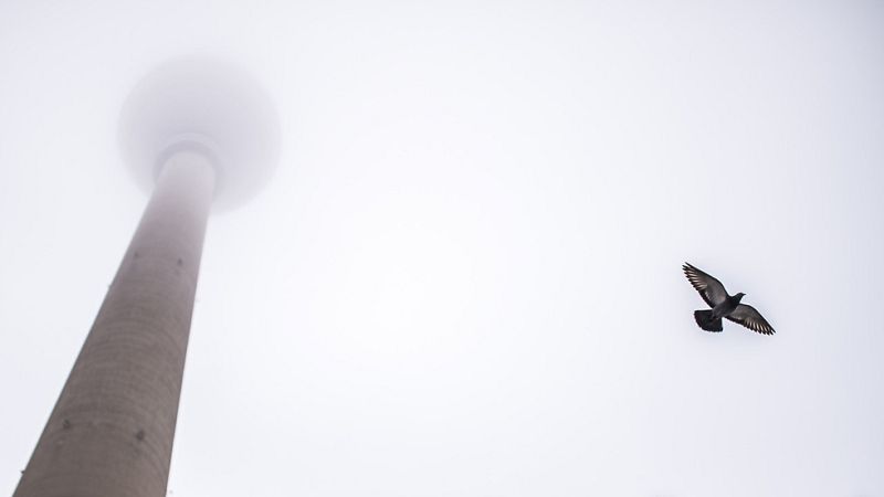 Las lluvias se concentrarán en el centro del país