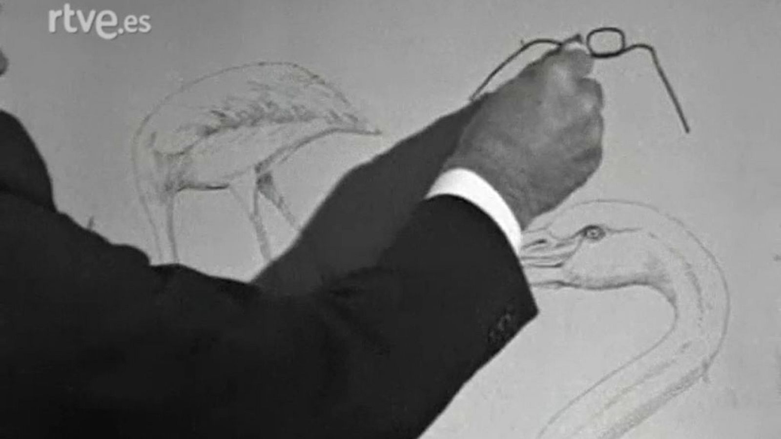 El planeta azul - Trampa mortal