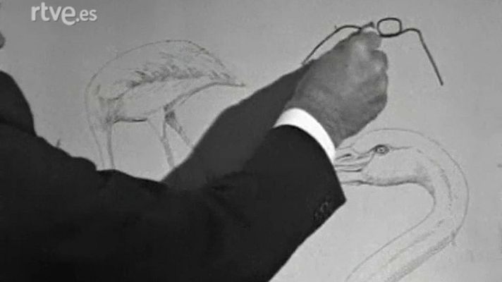 El planeta azul - Trampa mortal