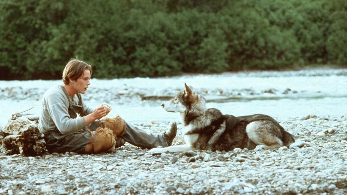 Cine internacional - Colmillo Blanco