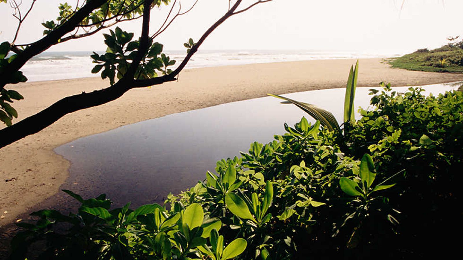 Grandes documentales - Las islas más salvajes de Indonesia: Islas del Monzón - ver ahora