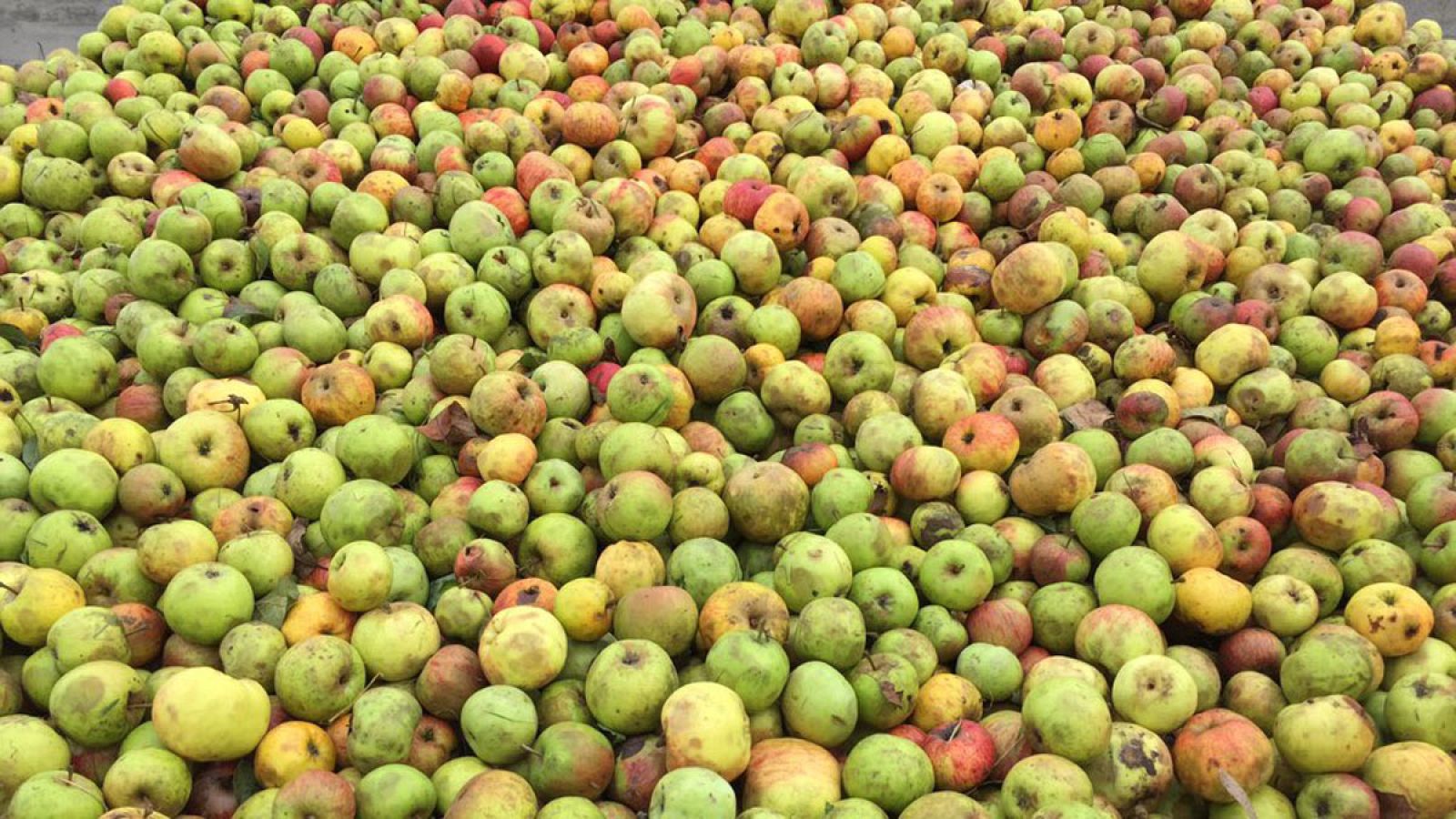 La comarca de la sidra