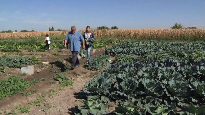 Aquí la Tierra - Sabores de otoño