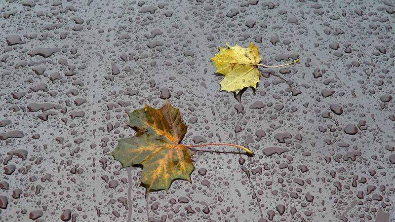 La lluvia se instala en el sudeste peninsular