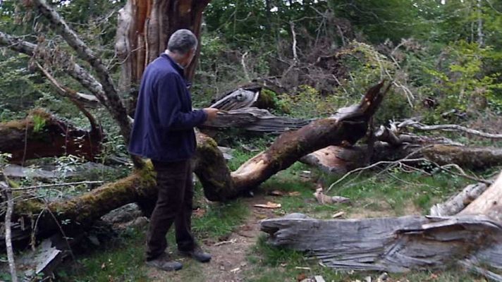 Aquí la Tierra - Aquí la Tierra - 18/10/16