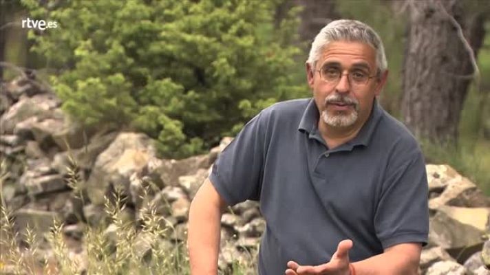 Crónicas - Julio Vías: "Tenemos lobos en la vertiente madrileña"