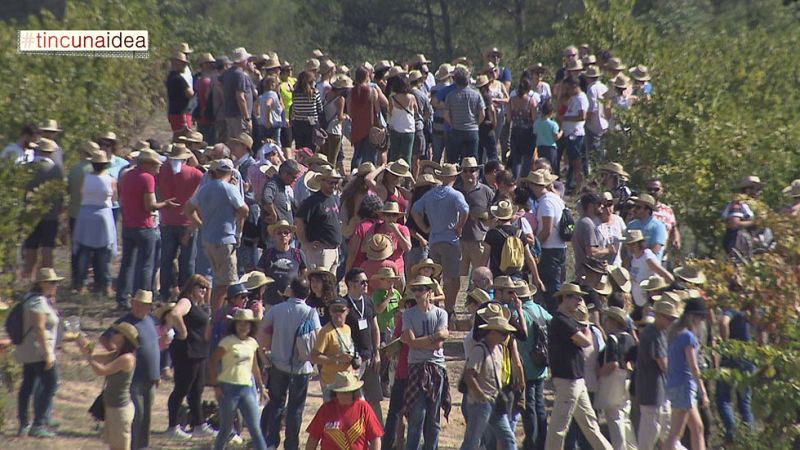 Tinc una idea - Idees i acció - Verema solidària amb denominació d'origen
