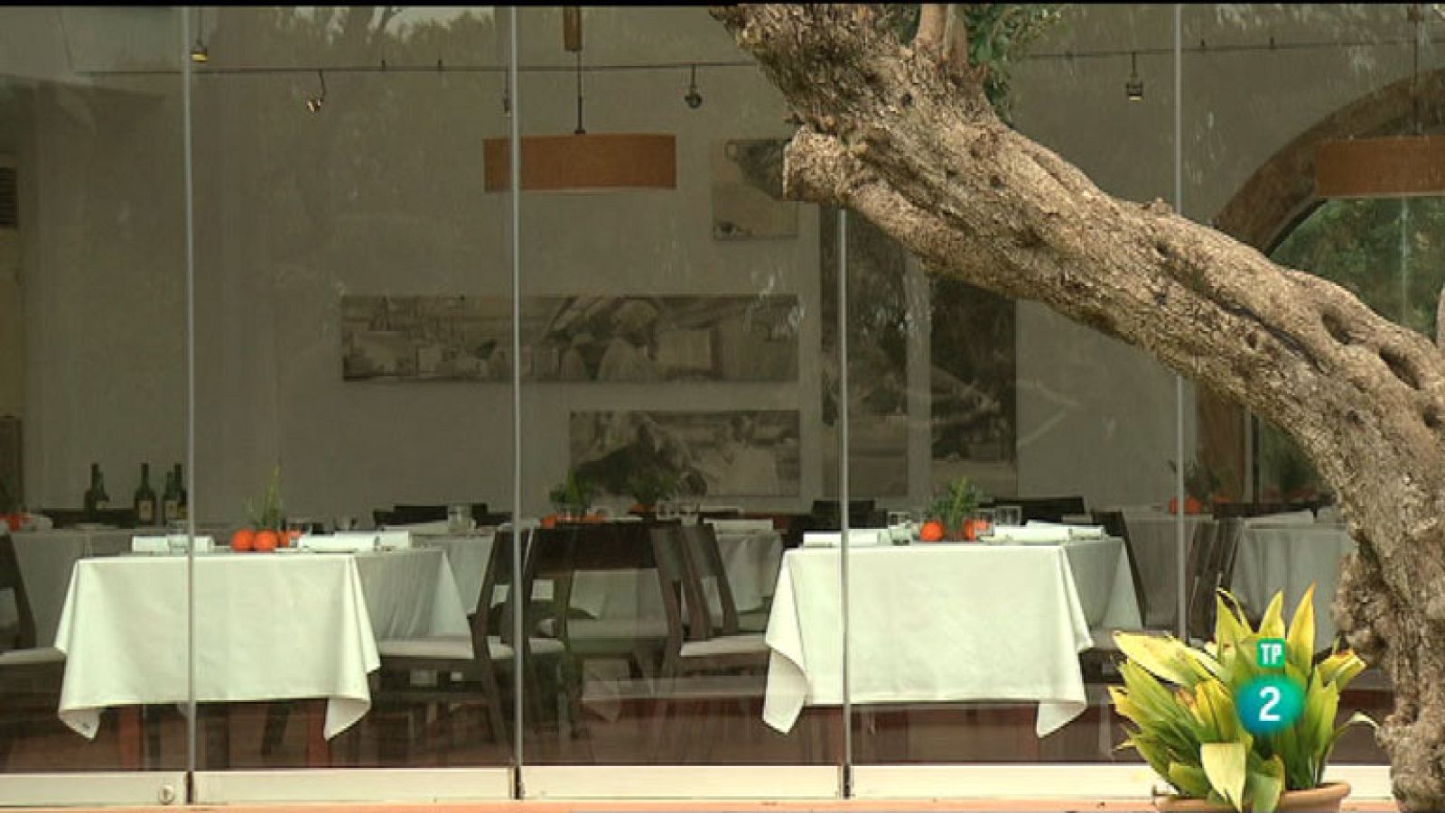 La Aventura del Saber. TVE. Sección 'Jefes de Cocina'. Pepa Romans