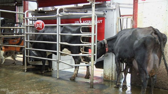 Aquí la Tierra - Ordeño ¡automático!