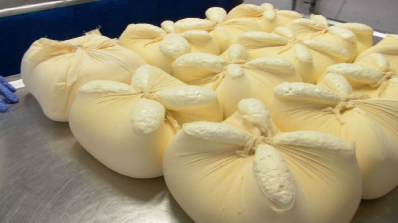 Un queso que vive entre pañuelos