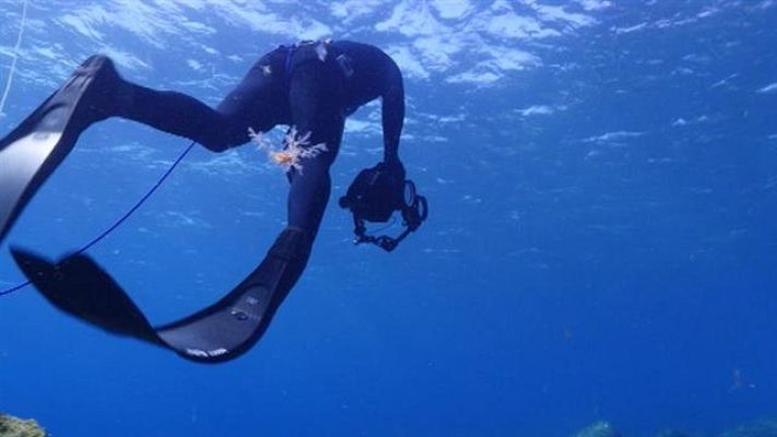  - OPEN FOTOSUB EL HIERRO