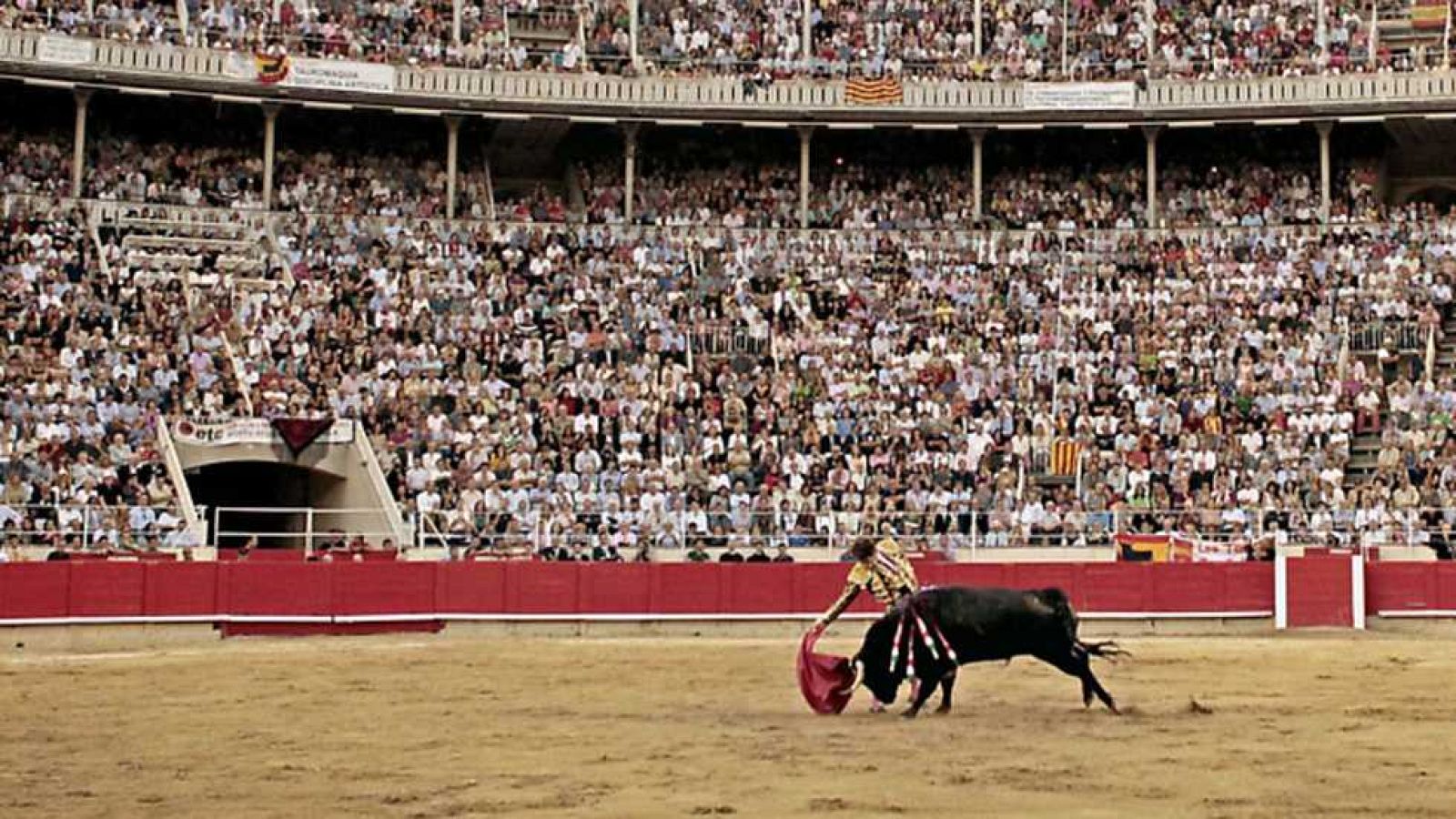 Telediario - 8 horas - 21/10/16 - ver ahora