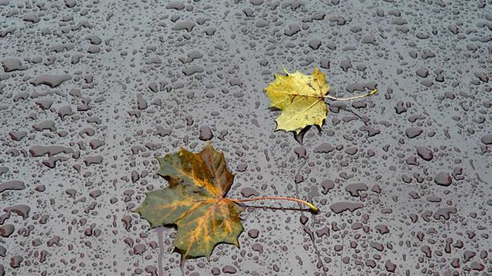 Informativo de Madrid - El Tiempo en la Comunidad de Madrid - 21/10/16