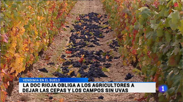 Informativo Telerioja - Telerioja en 2' - 21/10/16