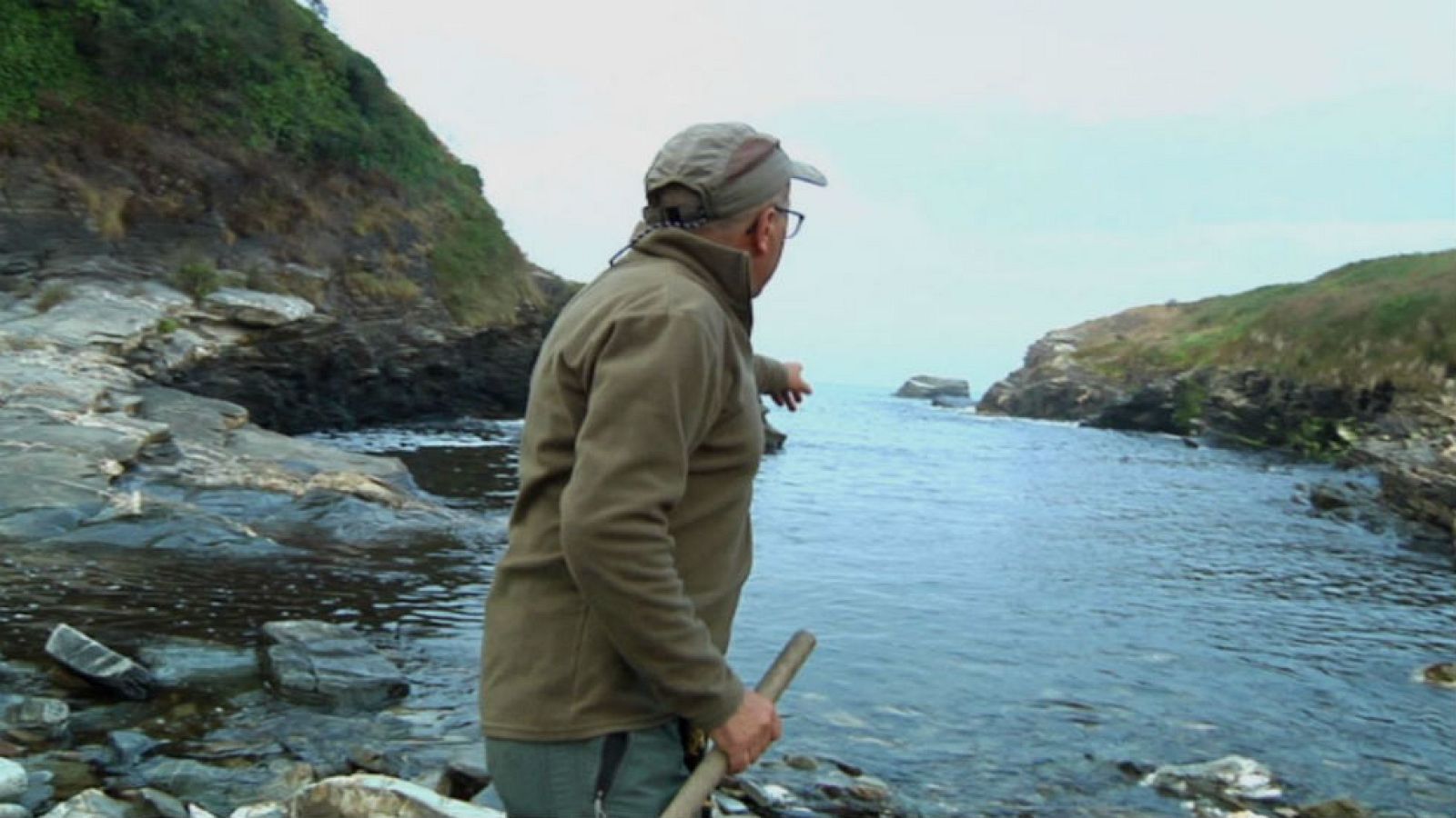 El milagro de las pulgas y los peces