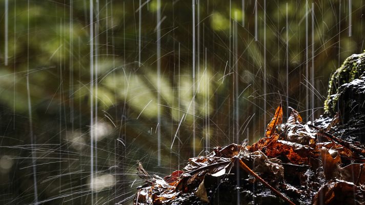 El tiempo - Una borrasca con frentes sucesivos dejará lluvias en todo  el país el fin de semana