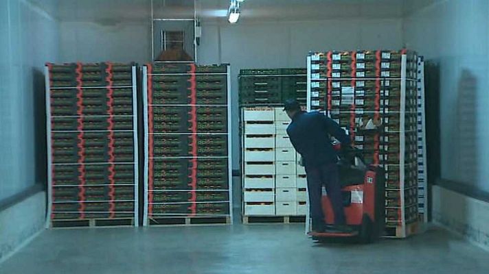 Agrosfera - Agrosfera - 22/10/16