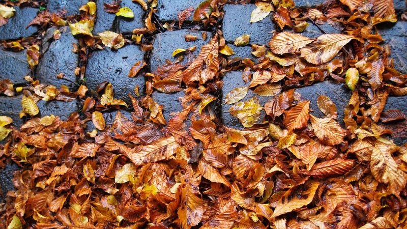Cielos nubosos con precipitaciones en gran parte de la península