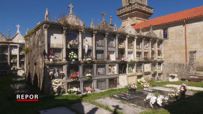 Repor - Un nicho de mercado - Avance