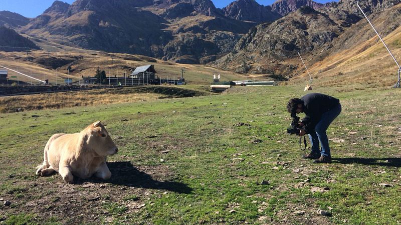España Directo- Así se preparan para el invierno en el Valle de Tena