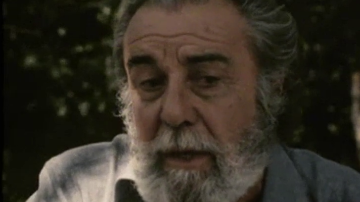 Bla, bla, bla - 24/7/1981