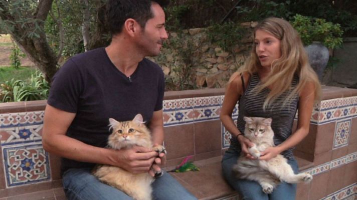 Aquí la Tierra - ¿Produce alergia el pelo de los gatos?