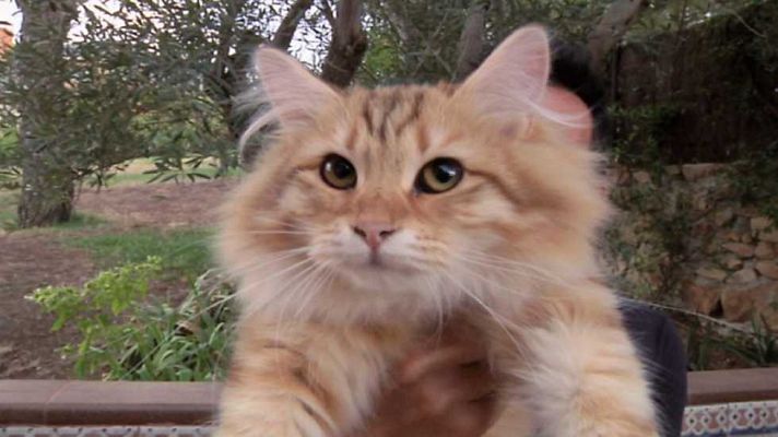 Aquí la Tierra - Aquí la Tierra - 25/10/16