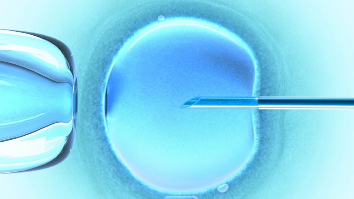 Telediario 1 - La Organización Mundial de la Salud se plantea reconocer a los solteros como infértiles