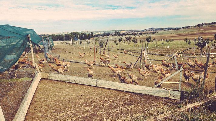 España Directo - Vivir de otro modo: una granja ecológica