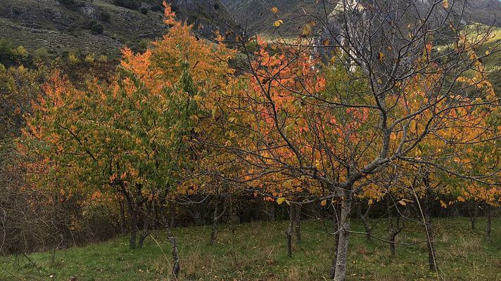España Directo - El Valle del Silencio