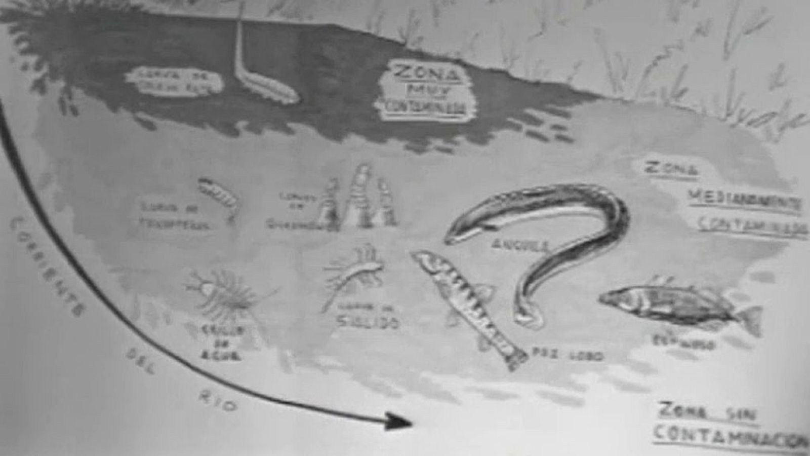 El planeta azul - La muerte del río