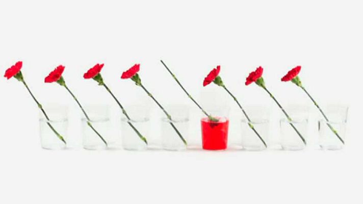 La aventura del Saber - La aventura del saber - 27/10/16