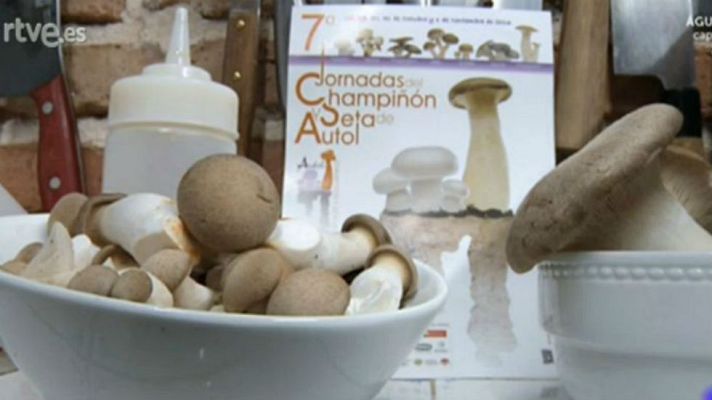 Aquí la Tierra - La fiesta de las setas