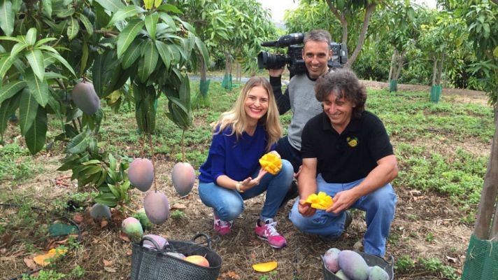 Aquí la Tierra - Un fruto viajero