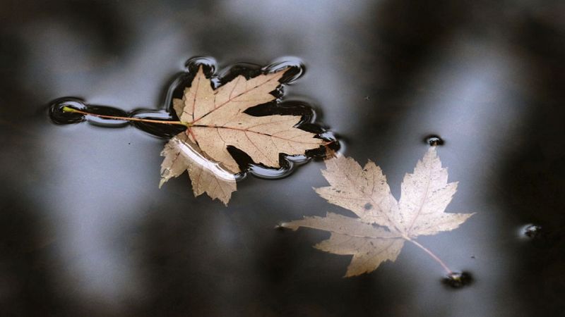 Lluvias en islas Canarias orientales y levante fuerte en el Estrecho
