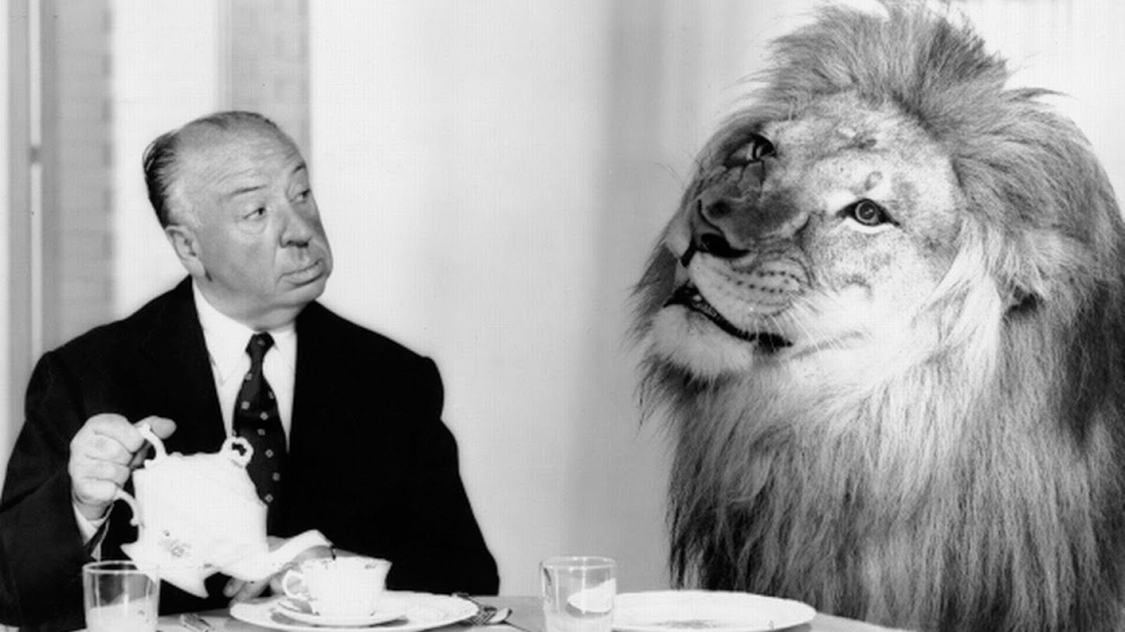 Exposición Hitchcock, mas allá del suspense