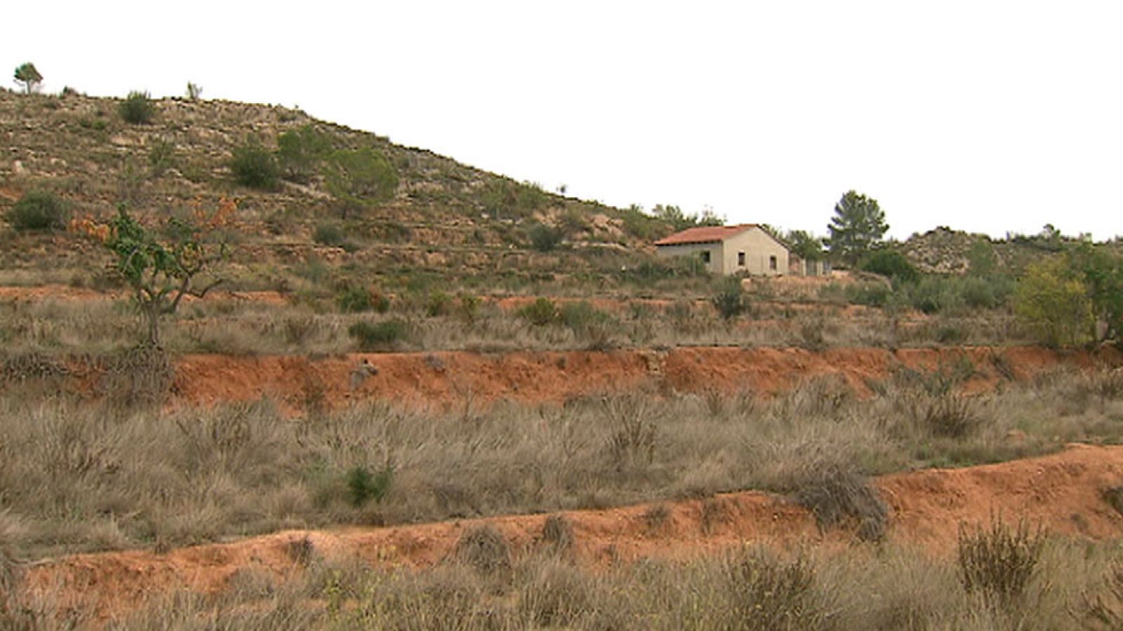 La Guardia Civil encuentra el cadáver de una joven en las inmediaciones de Chella, Valencia