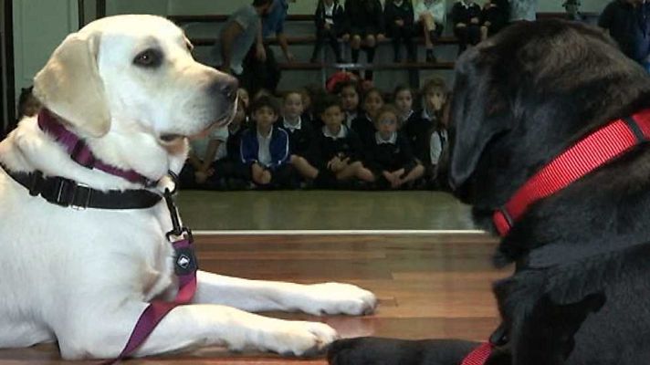 España en 24h - España en 24 horas - 28/10/16