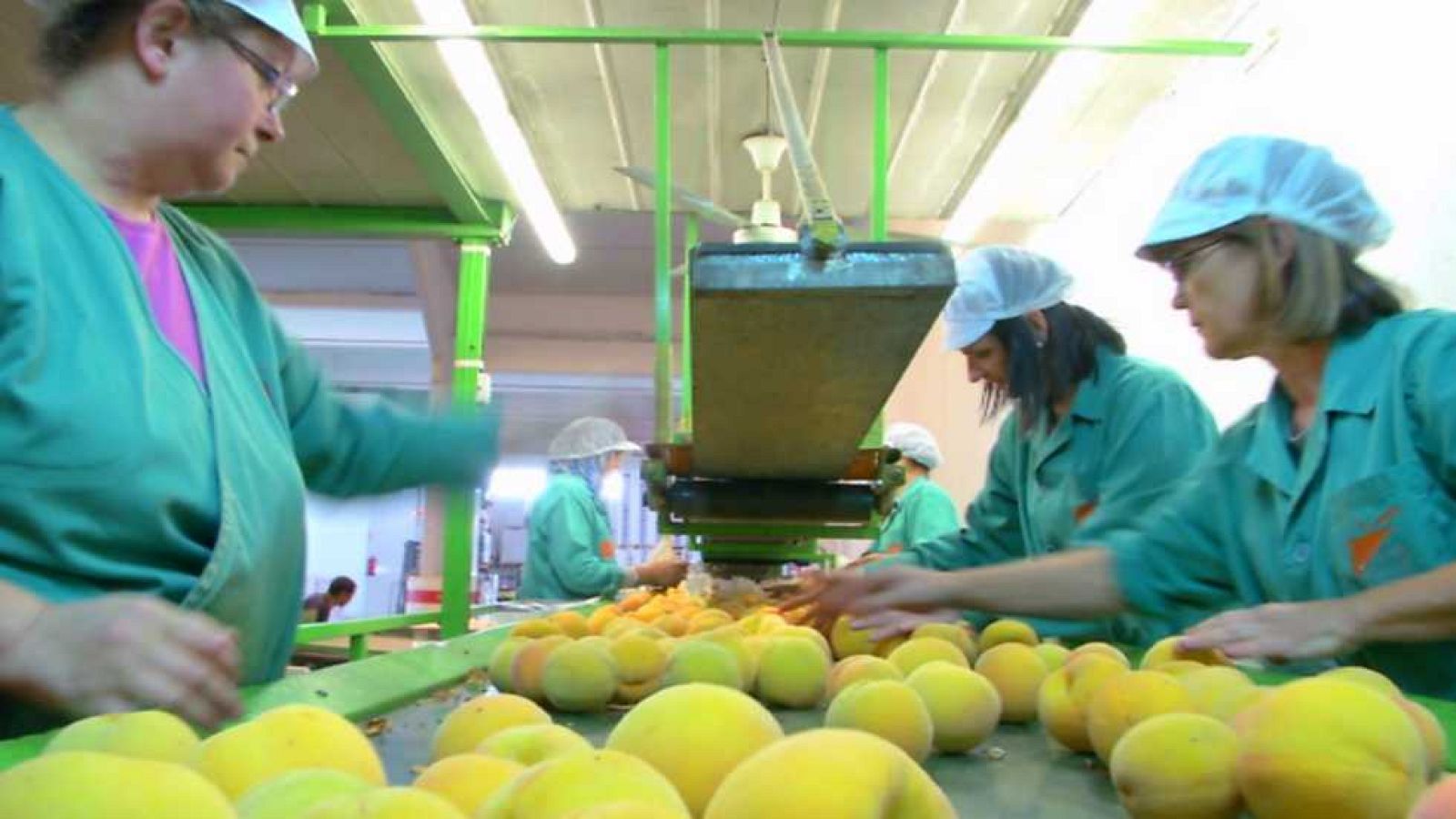 Aquí la tierra - 28/10/16 - ver ahora