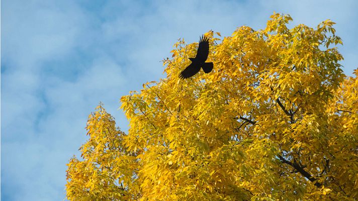El tiempo - Sol y temperaturas de hasta 26 grados para el puente de Todos los Santos