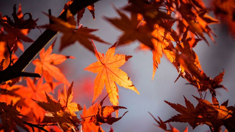 El buen tiempo continúa en toda España