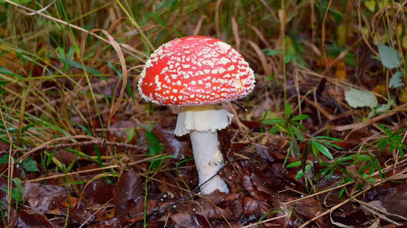 Viento fuerte de Levante en el Estrecho y pocos cambios en las temperaturas en todas las regiones