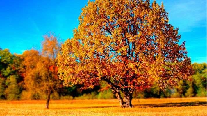 El tiempo - Temperaturas superiores a lo normal en el cuadrante noroeste