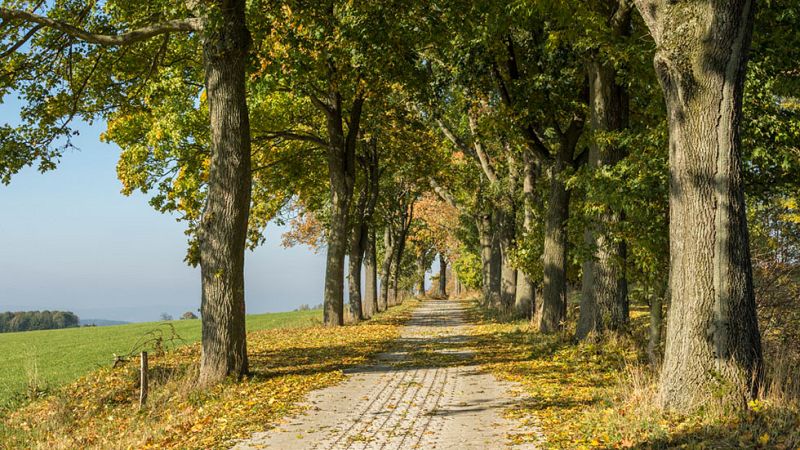 Temperaturas sin grandes cambios en general