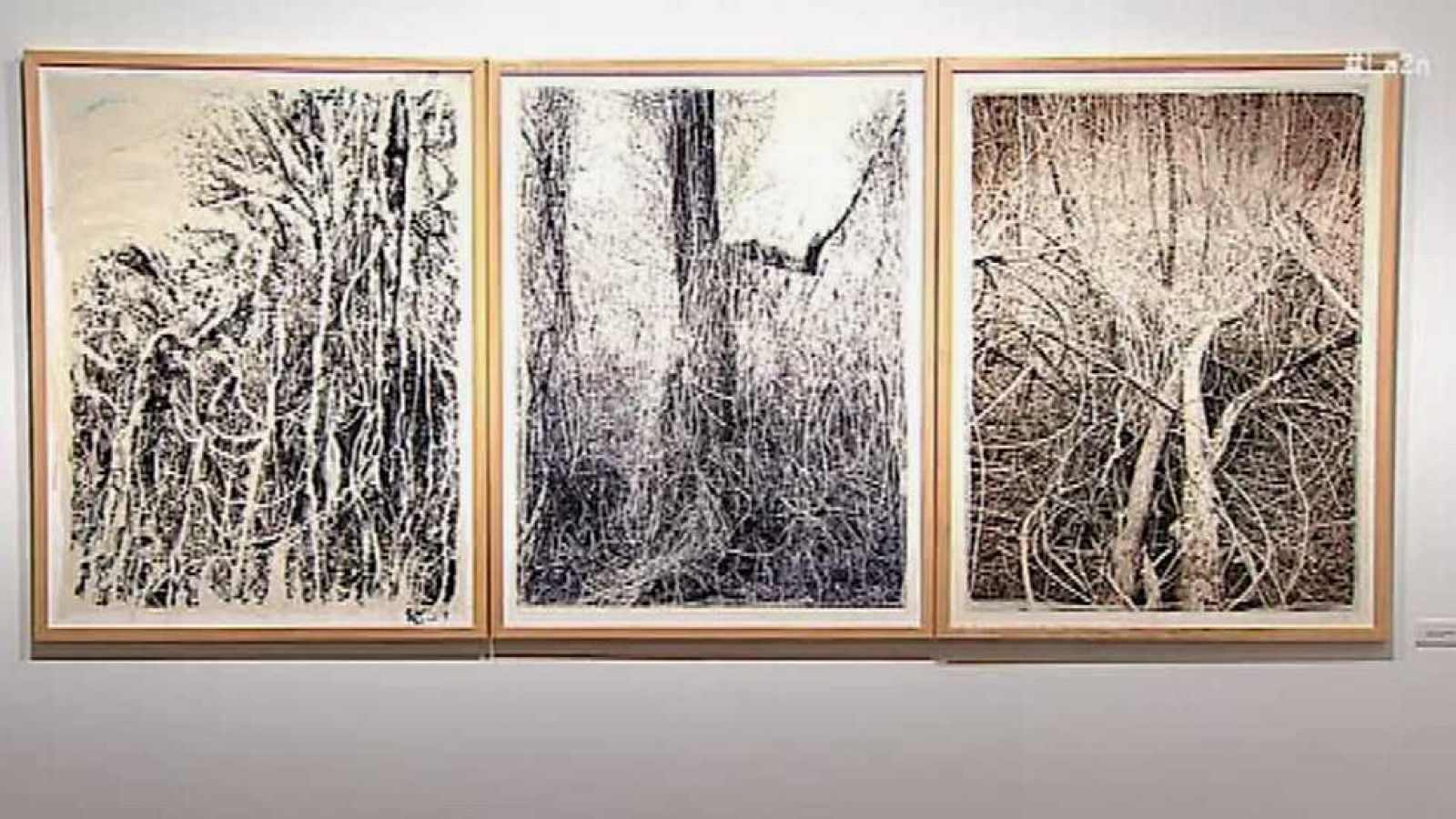 La 2 Noticias - 31/10/16 - ver ahora