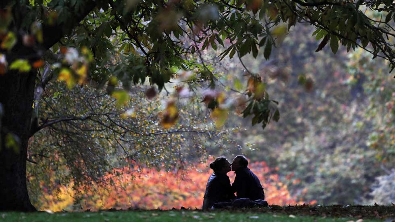 Cielos nubosos en el oeste de Galicia y norte de las islas Canarias