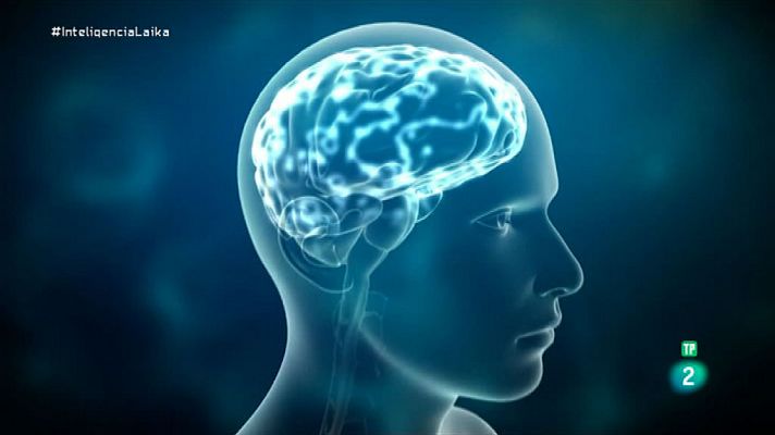 Órbita Laika - Cerebro e inteligencia artificial