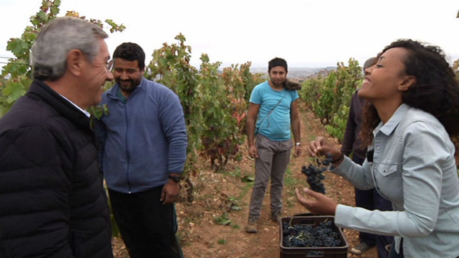 Descubrimos el vino "trasnocho"