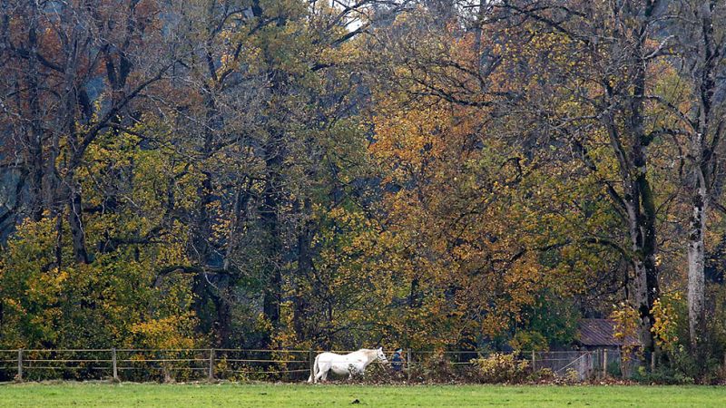 El cielo estará poco nuboso, con precipitaciones sólo en Canarias