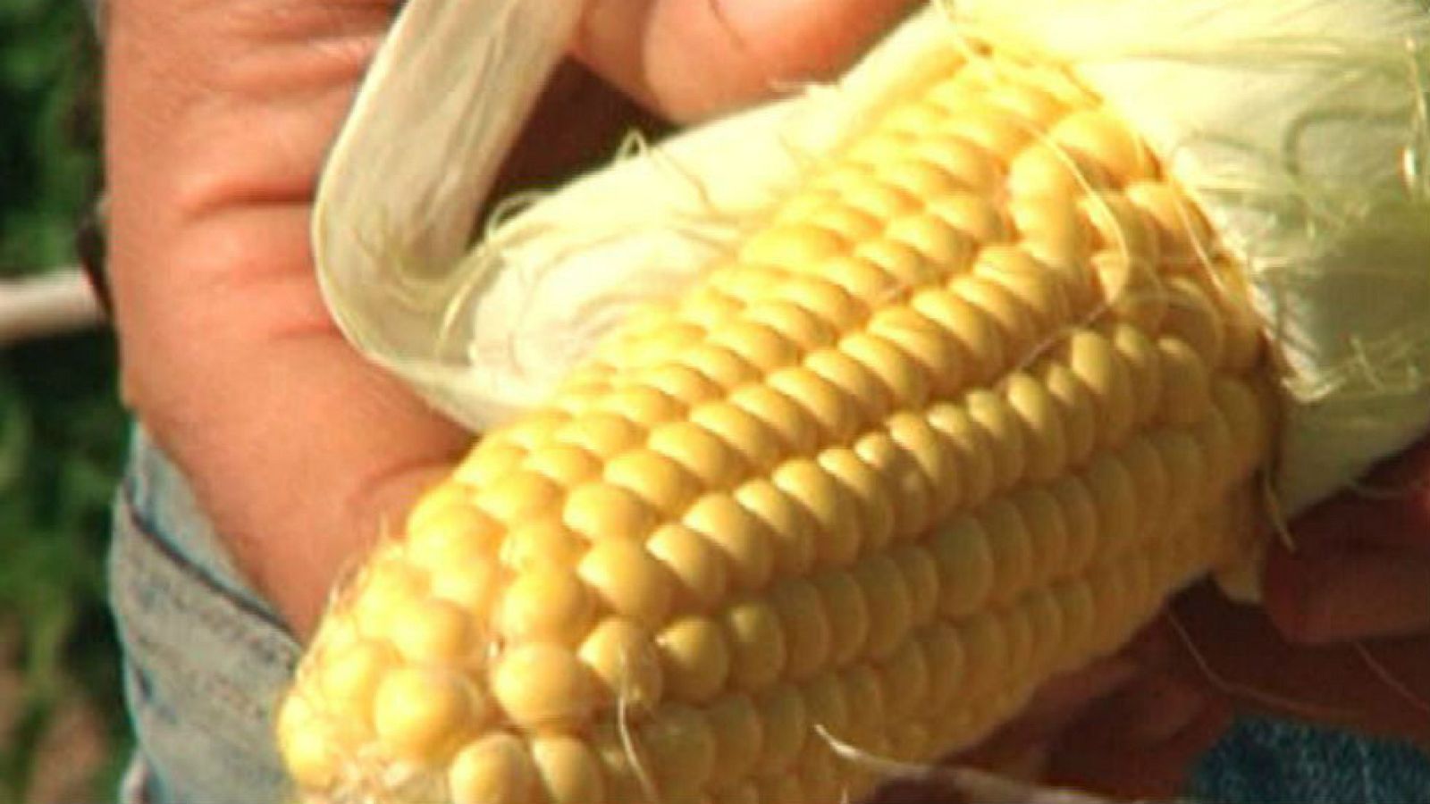 Palomitas en el huerto